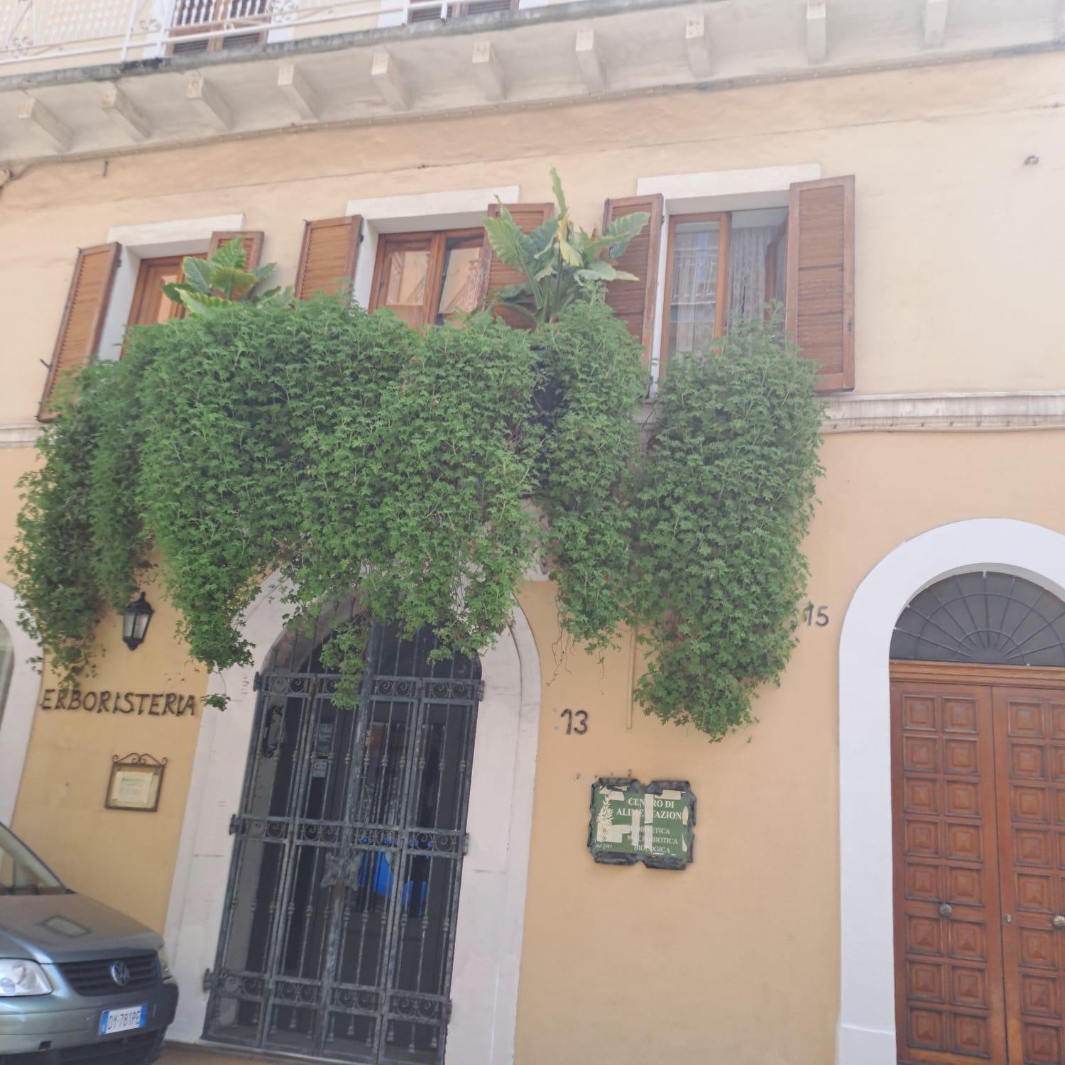 Domus Teate - Chieti Apartment Ngoại thất bức ảnh